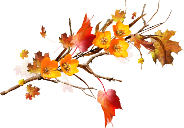 Осенняя ветка