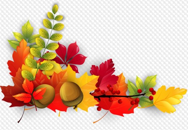 Атрибуты осени