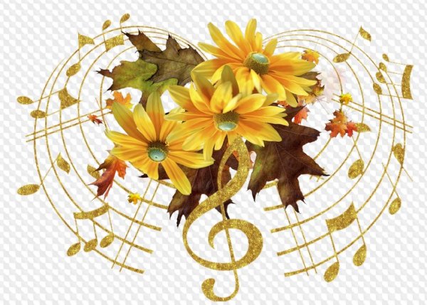 Осенние цветы на прозрачном фоне