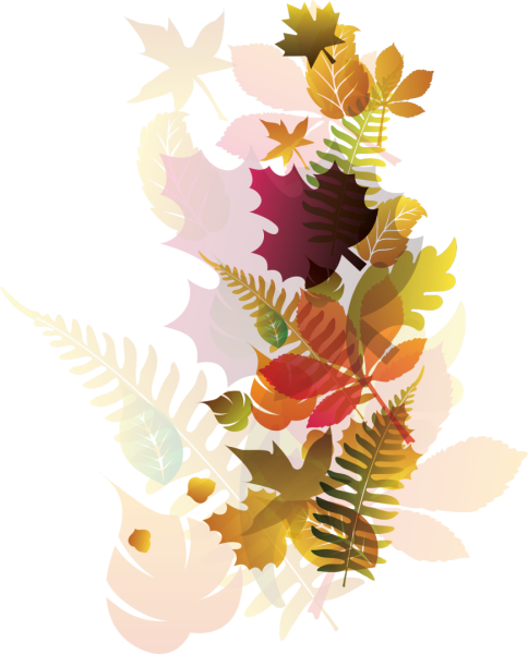 Осенний орнамент