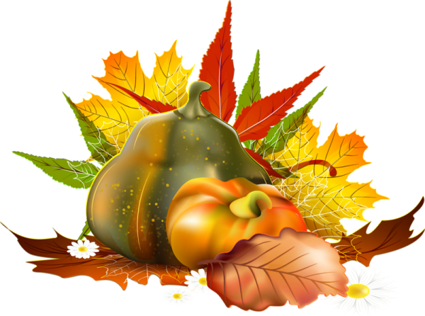 Осенние дары на прозрачном фоне