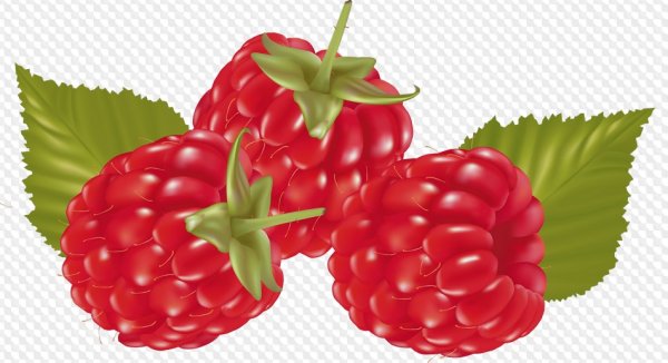 Малина вектор