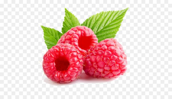 Ягода малина