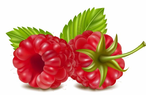 Малинка на прозрачном фоне