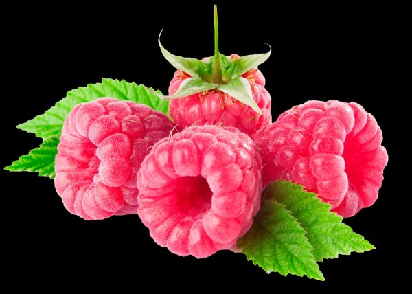 Малина етиштириш