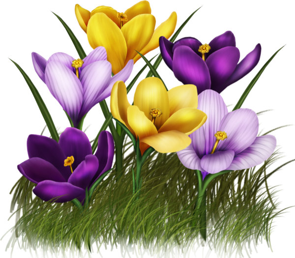 Весенние цветы мультяшные