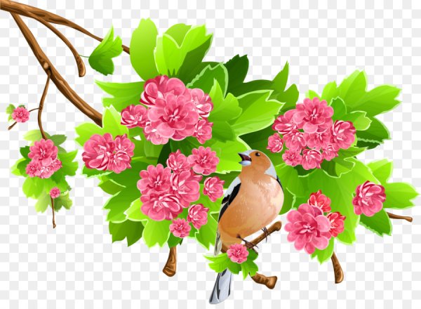 Ветка дерева с цветами