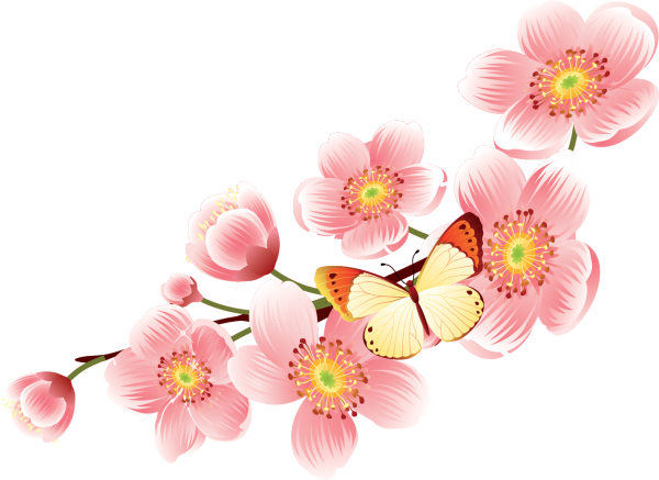 Клипарт цветы на прозрачном фоне