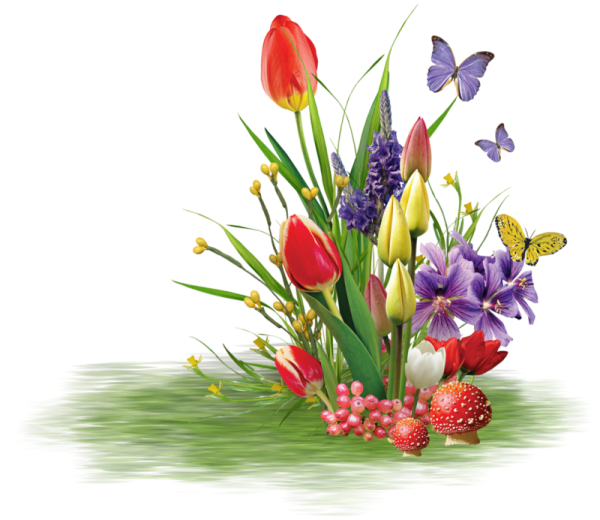 Цветы на прозрачном фоне