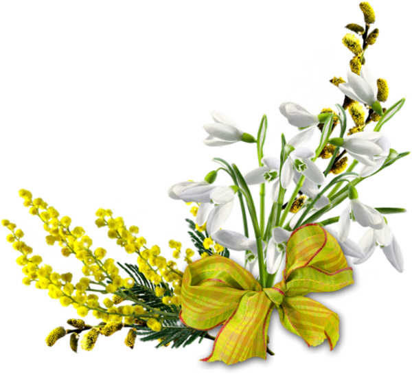 Подснежники и Мимоза