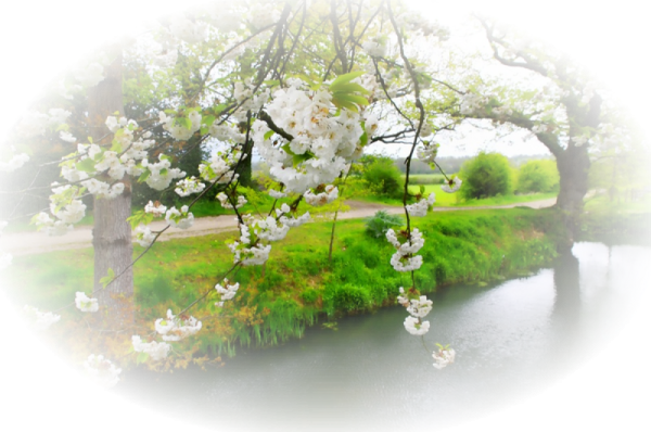 Прозрачная Весна