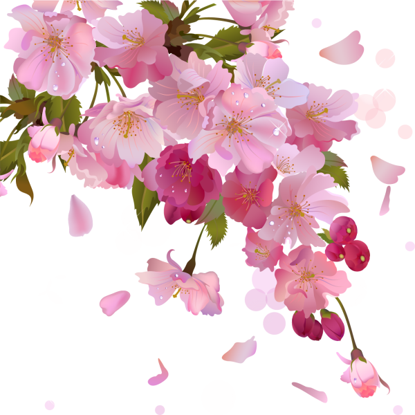 Ветка цветов на прозрачном фоне