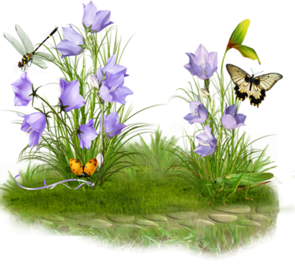 Сказочные весенние цветы