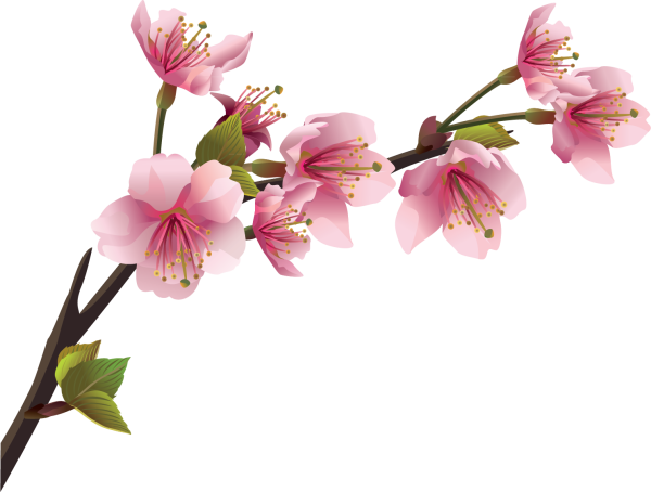 Ветка с цветами