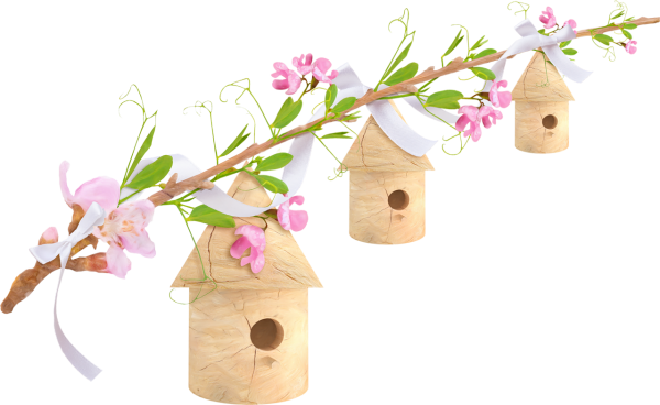 Веточка для скворечника