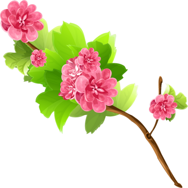 Ветка с цветочками