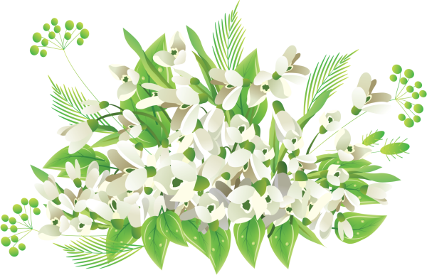 Весенние цветы на прозрачном фоне