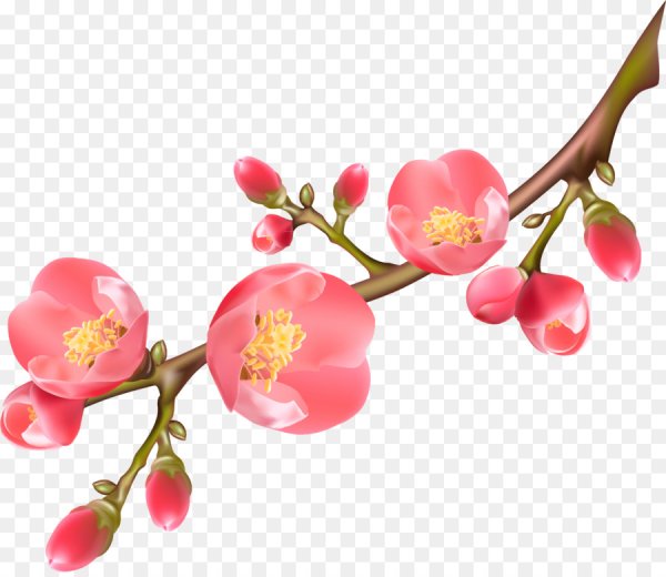 Веточка с цветочками