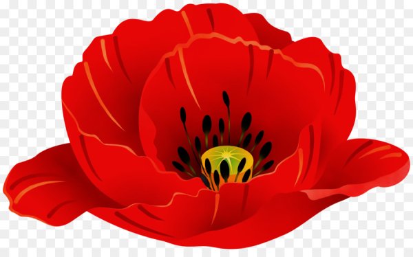 Мак мультяшный