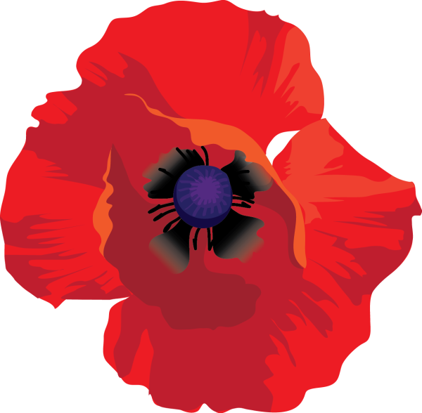 Мак цветок мульт