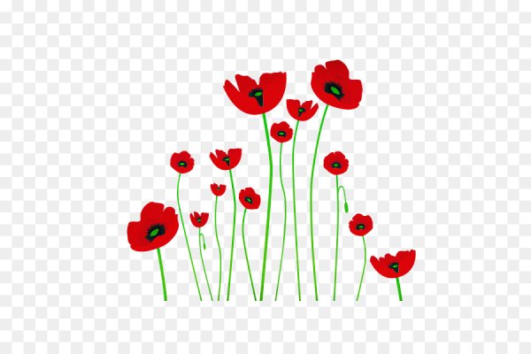 Маки вектор