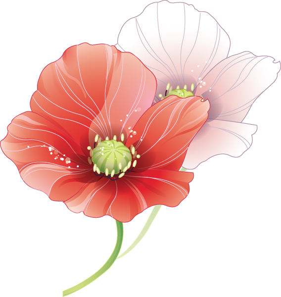 Цветочки на прозрачном фоне