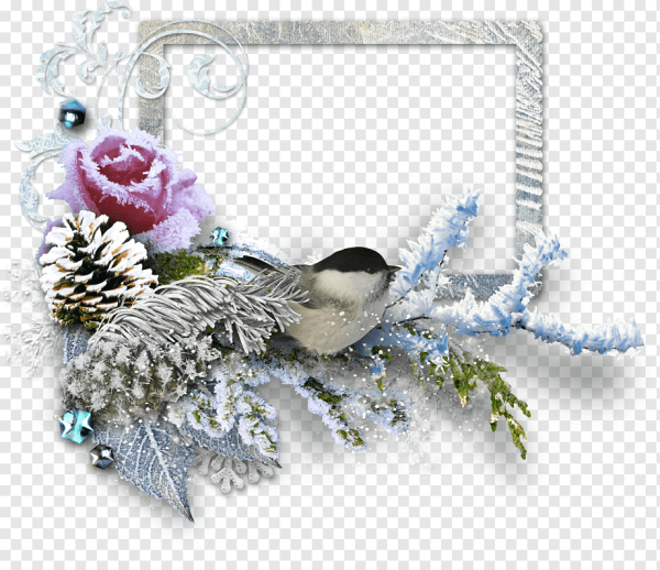 Зима на прозрачном фоне