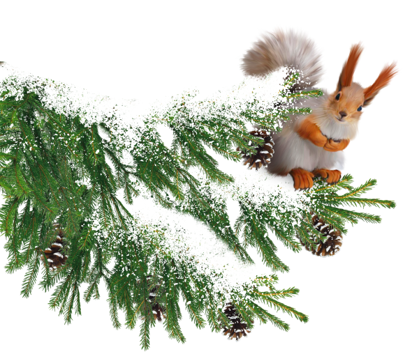 Зимняя ветка