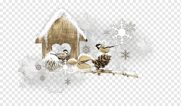 Зимний клипарт на прозрачном фоне