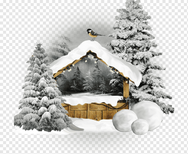 Новогодний пейзаж клипарт на прозрачном фоне