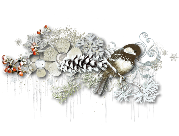 Зимний клипарт на прозрачном фоне