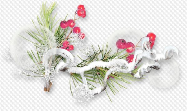 Зимняя ветка