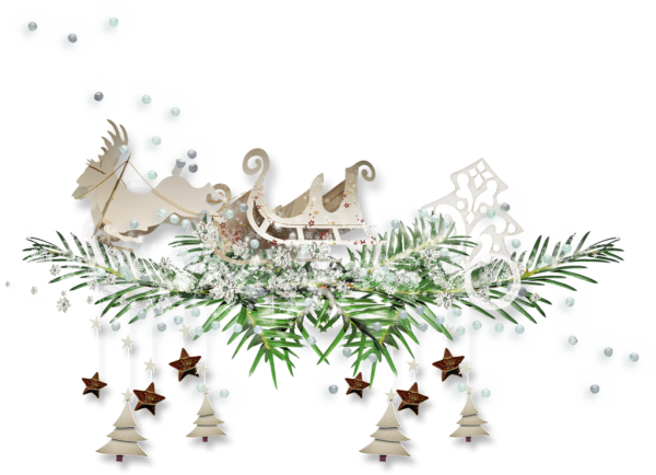 Новогодняя ветка на прозрачном фоне