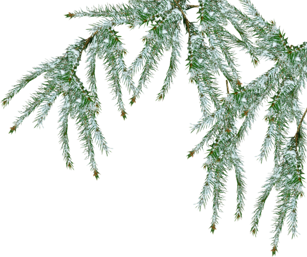 Зима на прозрачном фоне