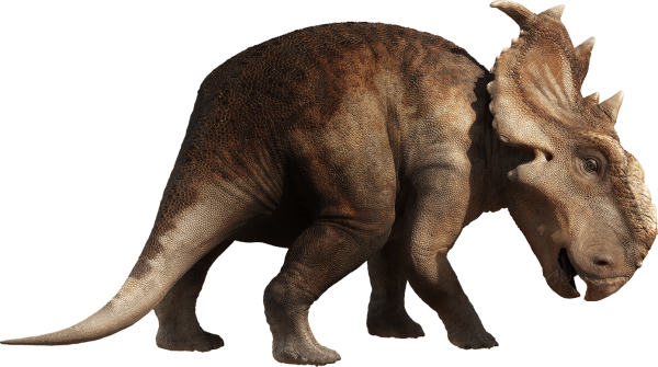 Пахиринозавр Печчи