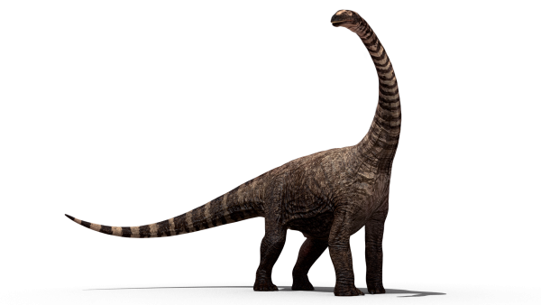 Тиранозавр и Бронтозавр