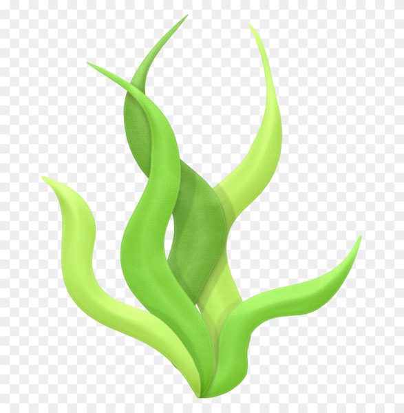 Водоросли мультяшные