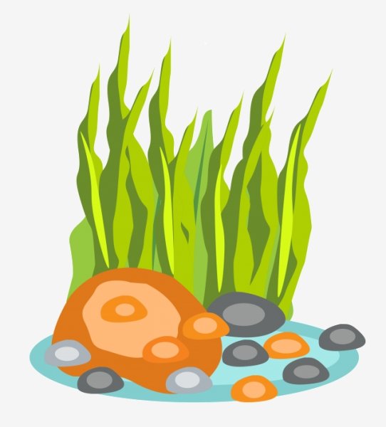 Водоросли мульт