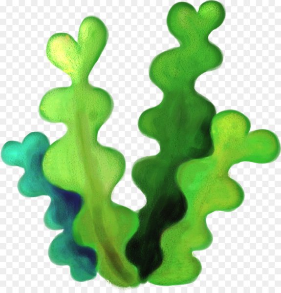 Водоросли мультяшные