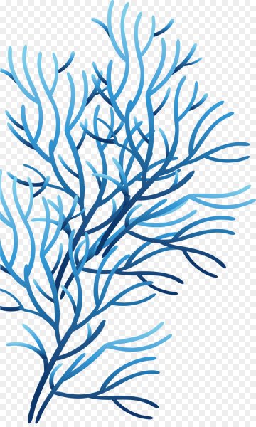 Водоросли без фона