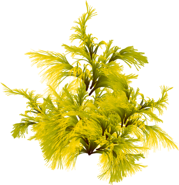 Т Грасс зелень