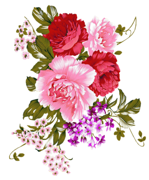 Цветы на прозрачном фоне