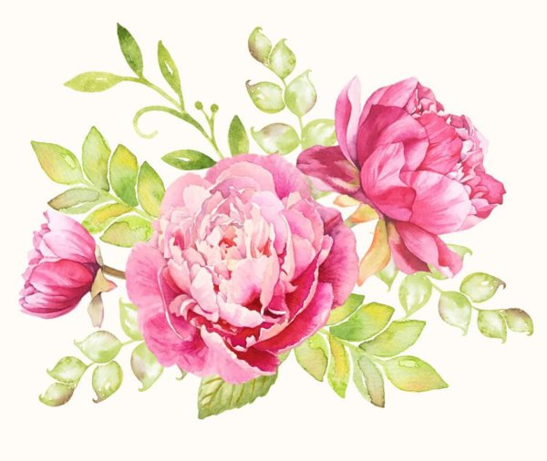 Пионы орнамент