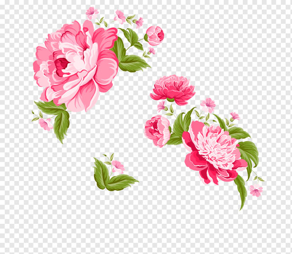 Векторные цветы пионы