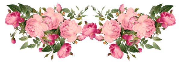 Цветочные бордюры на прозрачном фоне