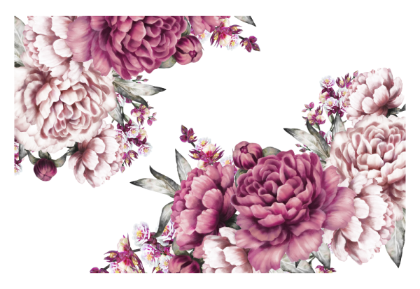 Векторные пионы