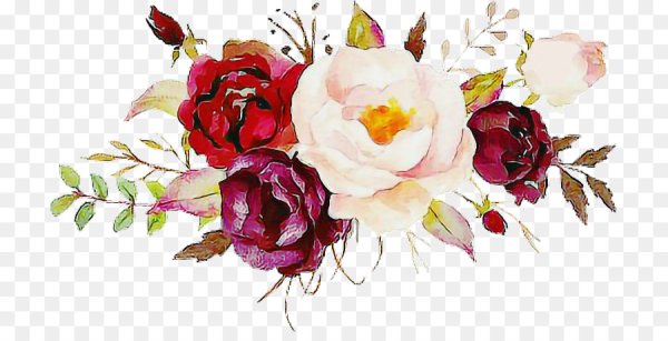 Бургунди цветы акварель