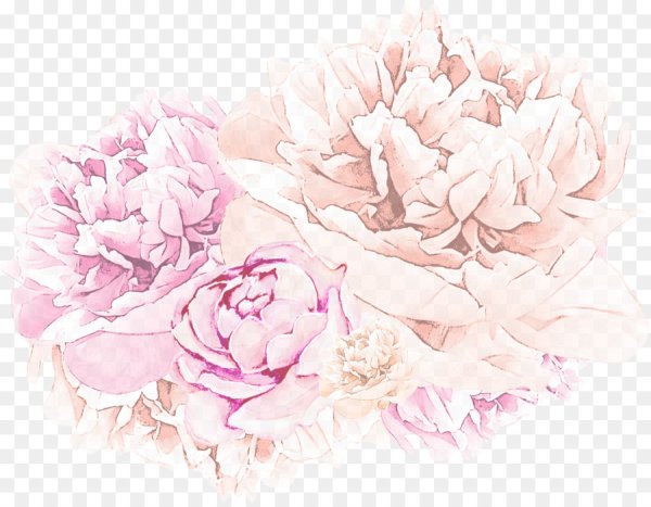 Бежевые пионы акварель