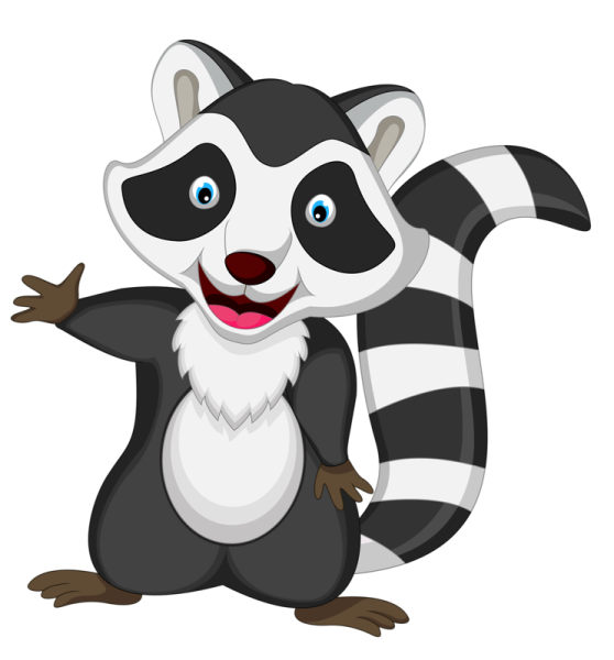 Мультяшные еноты