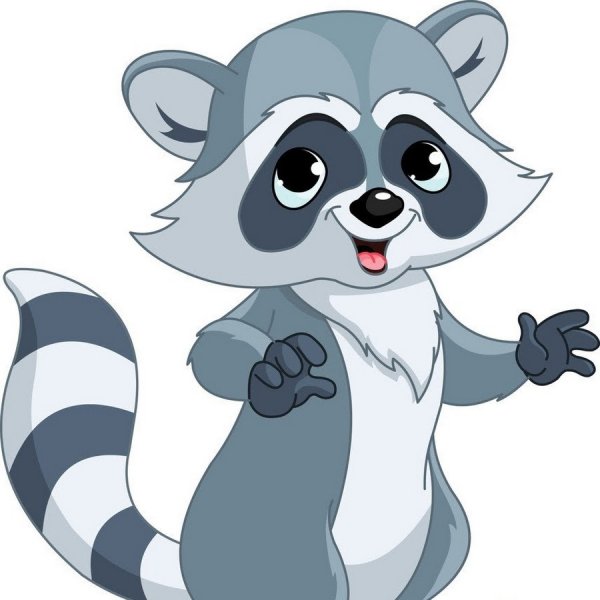 Мультяшные еноты